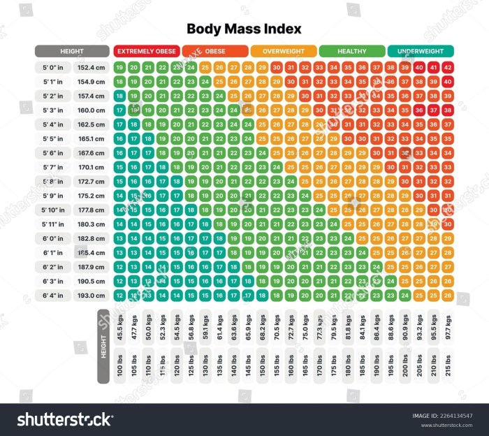 Body mass index bmi chart calculator formula height graph function Body mass index bmi chart calculator formula height graph function